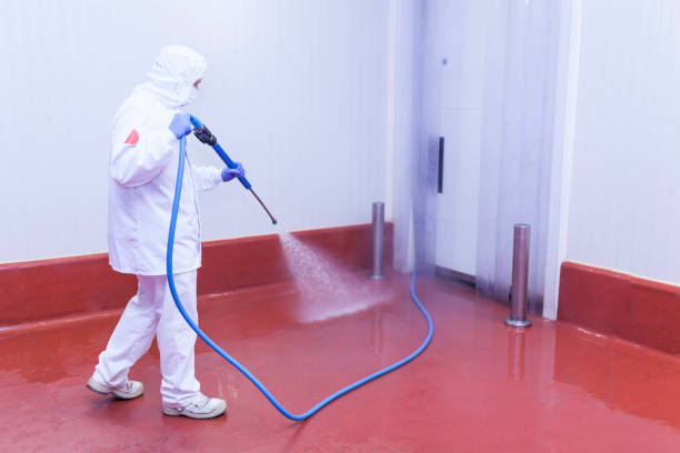 Best Concrete Sealing  in St Georges, DE