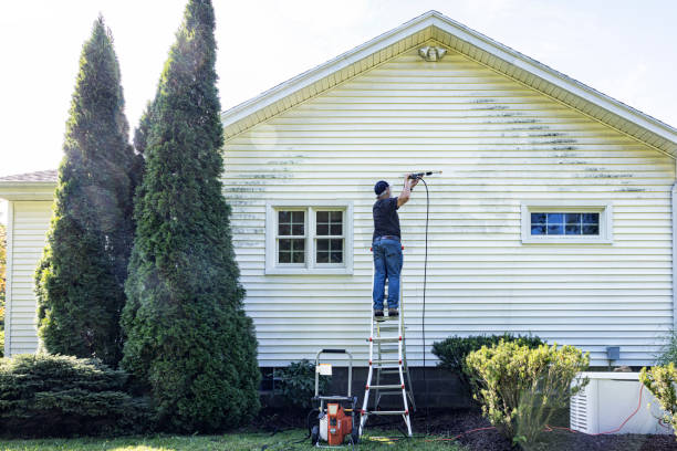 Best Dumpster Area Cleaning  in St Georges, DE